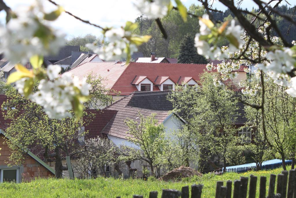 Penzion U Rudolfů Vlasenice Exteriér fotografie